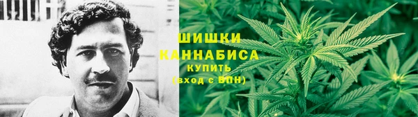 крисы Армянск