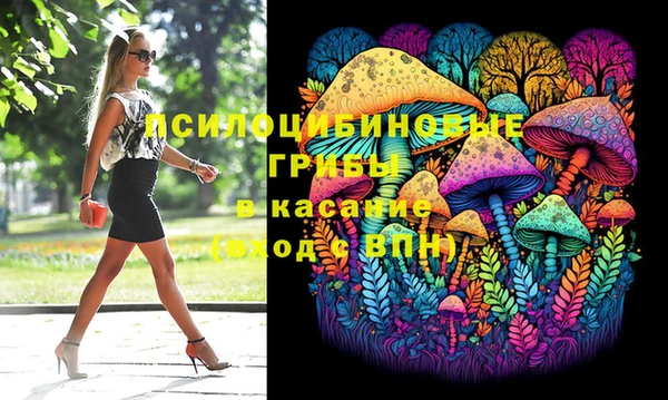 метадон Арсеньев