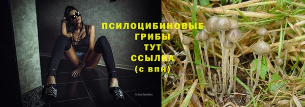 крисы Армянск